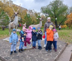 Мы по городу гуляем, смотрим, видим, изучаем! Мы по городу гуляем, смотрим, видим, изучаем!.