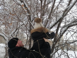 Кормим птиц мы каждый день, это делать нам не лень Кормим птиц мы каждый день, это делать нам не лень.